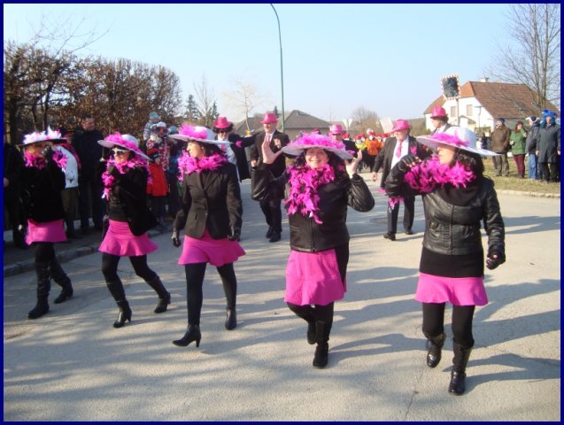 Faschingsumzug 2015 (Fotos Franz Amon)